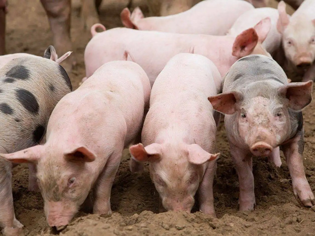 ＾ҪעʲôƺҪһҪĵ