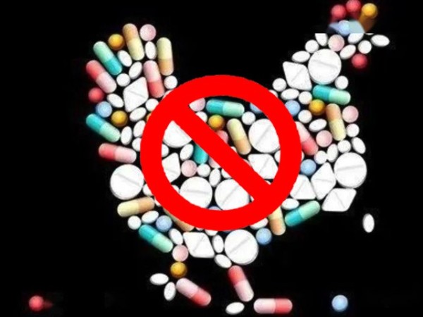 ϲǲΰ룻Żƽ