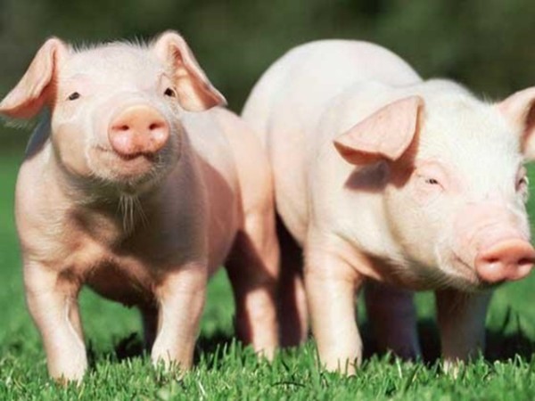 ʰʹʲôôбҪȫ