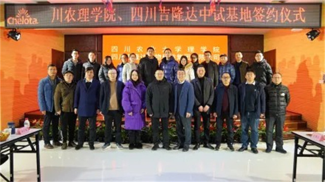 ĴũҵѧѧԺԺĺʦŶӵĴj9ƷʼŲιۿ