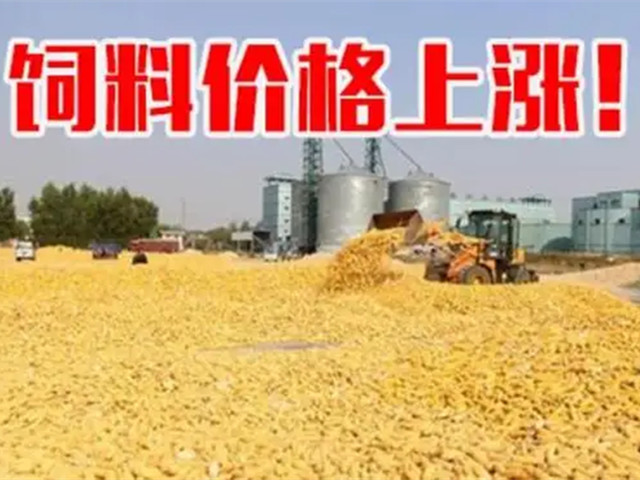 ںϼ۸ٴϳҲп࣡ﶬҪԵøˣ