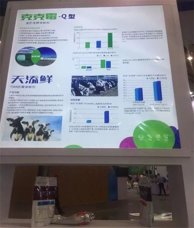 Ð󲩻áj9¹ú¼ÊÆ·ÖÊÕ¹Çø Ð󲩻áj9¹ú¼ÊÆ·ÖÊÕ¹Çø