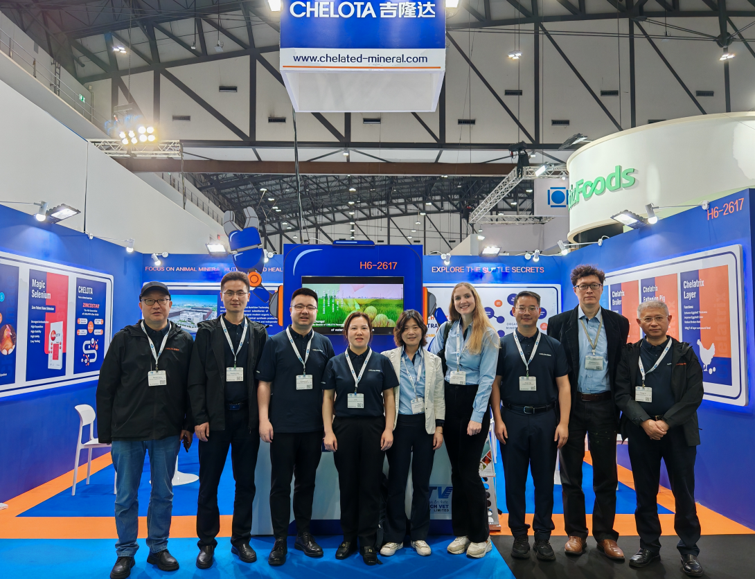 ̩ˣCHELOTAj9ƷVIVޣ̩ʼԼչ